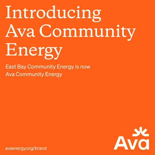 Ava - Introducing Ava