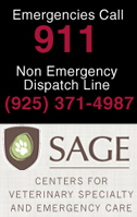 Emergency 911, Non-Emergency 925-371-4987