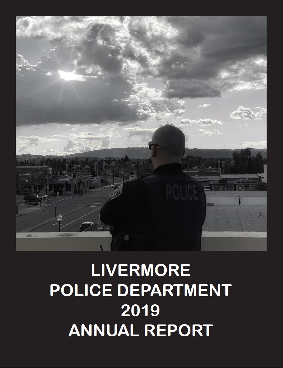 2019 annual report cover page
