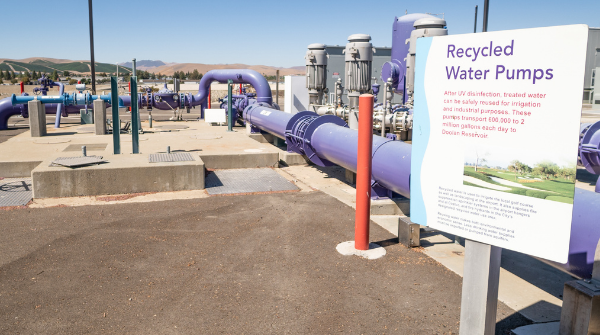 Purple Recycled Water Pumps at the Livermore Water Reclamation Plant