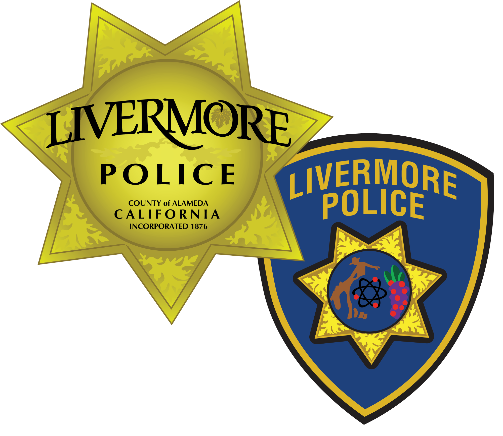 LPD Gold Star and Patch
